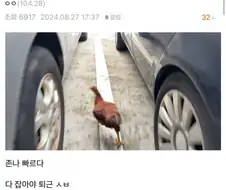 어느 중소기업에서 퇴근하는법