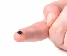 사람에게 마이크로칩을 박는다면
