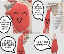 안녕 나는 종아리의 요정이야