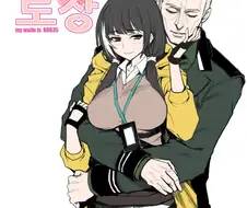 소전)중국 유저들이 욕한 만화