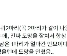 욕실에 주기적으로 나오던 바퀴 2마리가 있었다.jpg