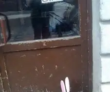 "고양이는 들어오지 마세요."