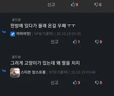 “고양이 앞에서 자위했더니 고양이한테 공격당함”