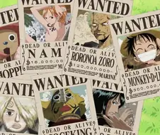 원피스)쵸파의 현상금