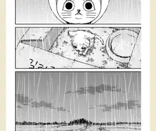고양이가 냥줍하는 .manwha