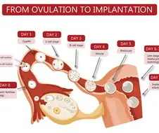 일본에서 시작된 유사과학