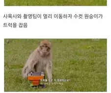 남녀 차이에 대한 bbc 실험.....jpg