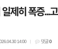 국밥 사망으로 독주중인 햄부기