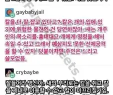 그래서 이거 누가 이길것 같슴?