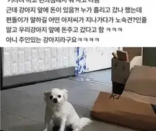 편의점 앞에서 기다린 댕댕이가 돈 받은 이유