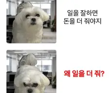 일을 잘하면 돈을 더 줘야지..