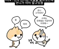 언니의 본분.manga