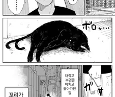 은혜를 갚으러 찾아온 고양이 Manga