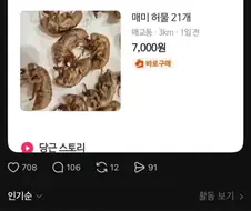 당근에서 매미허물을 파는 이유