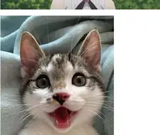 의외로 실제로 가능한 표정