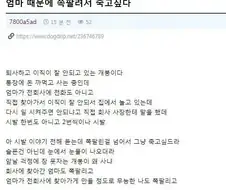 엄마 때문에 쪽팔려서 죽고 싶다는 개드리퍼