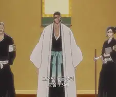 블리치 완결 시점의 사신측 전력
