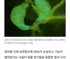 안 쓰면 망가지는 정자...오래 저장 시 DNA 손상.기능 저하