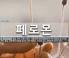야동, 야한애니/ 만화에서 자주 나오지만 사실 없는것