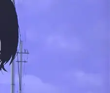 OCN : 체인소맨이 완결 났다고 하는데...