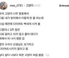 다이어트 못 시키는 독종 고양이.