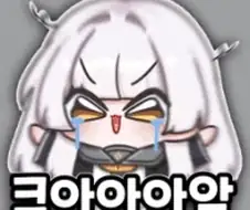 [이터널리턴] 근데 진짜 태그 합의 좀 하라고!