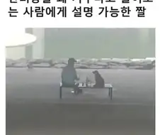 반려동물 키우는 이유