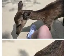 아이스크림 먹다 강도당했다.jpg