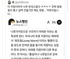 한국 토종 지렁이만의 특징