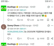 어른에겐 자비없는 듀오링고