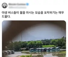 야생에서 보기 힘든 장면을 찍은