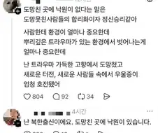 도망친 곳에 낙원은 있다