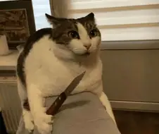 빨리 펄어비스 주식8만이상 띄워놔라