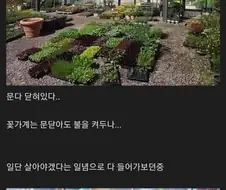 유부남의 발버둥