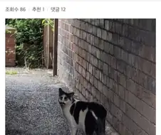 히틀러의 환생이 발견됨