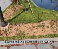 여수세계섬박람회 취재 간 YTN 기자 특징.JPG