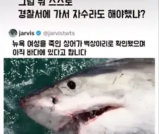 뉴욕 여성을 죽인 상어가 백상아리로 확인됐고 그 백상아리가 아직 바다에 있다고 함