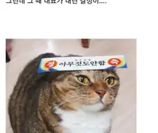 한 중소기업의 완벽한 랜섬웨어 대책
