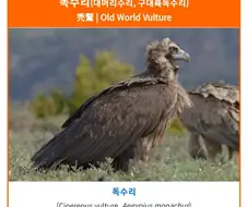 한화 야구단에 탈모 선수가 많은 이유