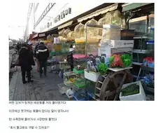 북항이를 보며 생각나는 유머