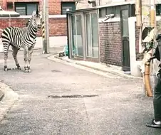 의외로 ai가 아닌 사진