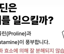 밥보다 면이나 빵이 소화가 잘 안되는 이유.eu
