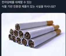 의외로 전자 담배를 대체하는것