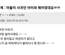 아들이 여친과 헤어진 이유에 화난 엄마.jpg