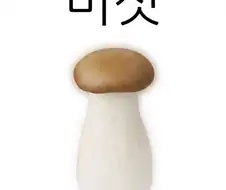 버섯.jpg