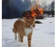 미션 컴플리트!
