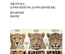 헷갈리는 고양이과 동물 구분법.jpg