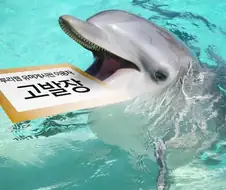 이미지 조진 피해자 모습