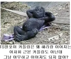 ??? : TS말포이 소신발언~