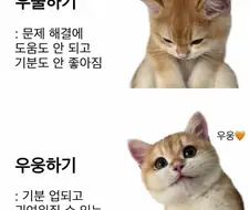 다들 우웅증에 걸리길 바란다
